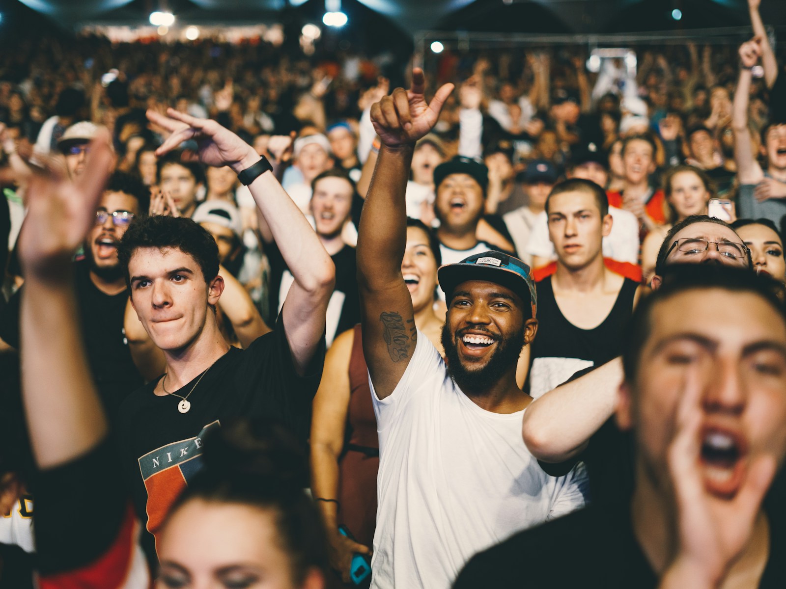 Electric Island — Turning up a Toronto festival's identity